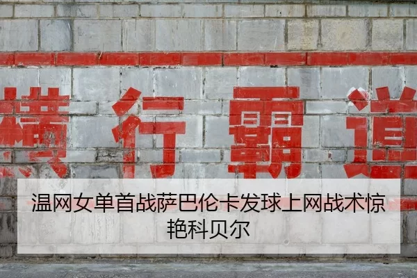 温网女单首战萨巴伦卡发球上网战术惊艳科贝尔