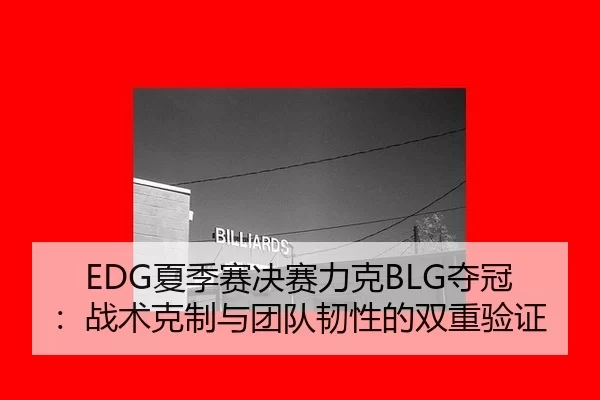 xia-ji-sai-jue-sai-li-ke-duo-guan-zhan-shu-ke-zhi-yu-tuan-dui-ren-xing-de-shuang-chong-yan-zheng-3-319.jpg